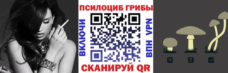 Псилоцибиновые грибы прущие грибы  Городовиковск 